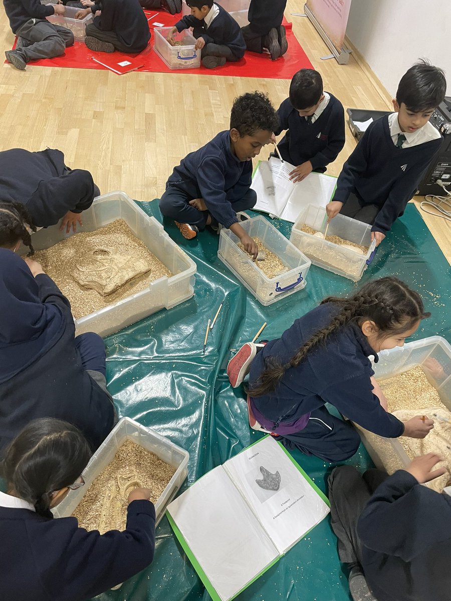 DTC_derby_class's tweet image. It’s fossil dig day! The students have been palaeontologists for the day, using tools to discover real fossils! They used some fact files to identify the fossils and learned some interesting facts about each one! #history #fossildig #palaentologist