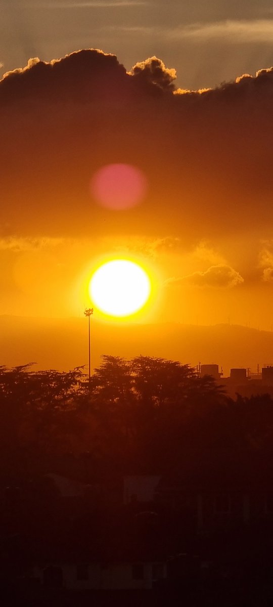 RooneyWeru's tweet image. Random mobile pictures 😍... all in one day
#RandomPics 
#S21ultra