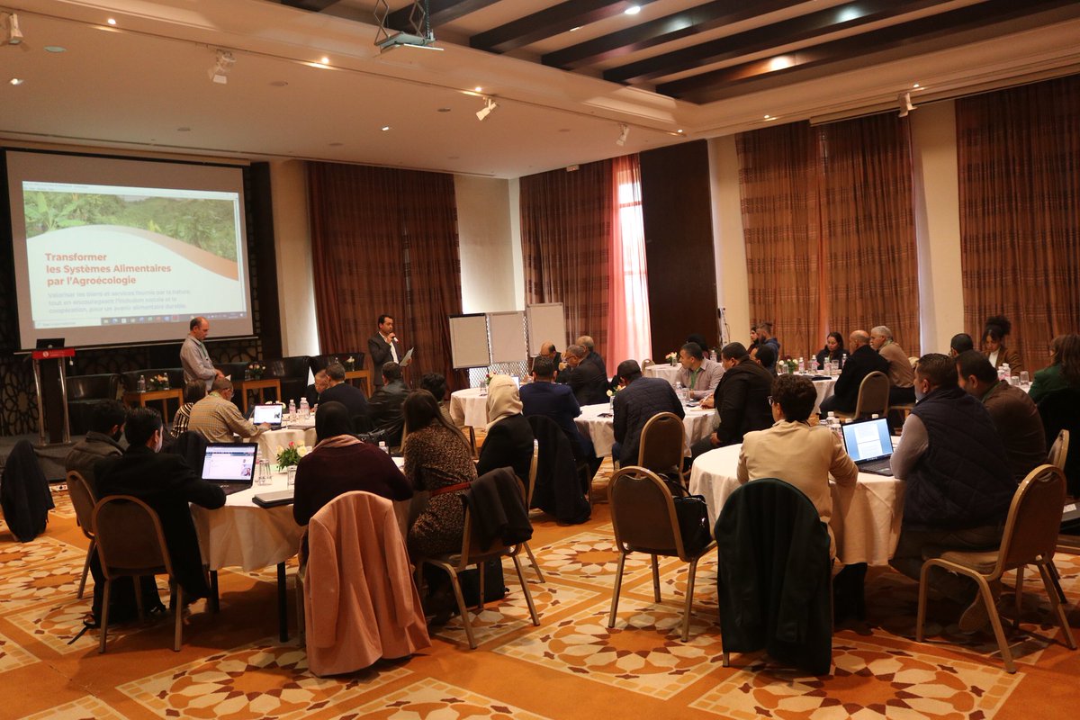 aymen_frija's tweet photo. Confirming the commitment and engagement of national partners for #agroecology_transformation in #Tunisia. Pause &amp; reflect meeting re-discussing #transition_pathways of key agricultural #production systems. @ICARDA @CGIAR @IRESA_Tunisie @simonestaiger @MarceQuinteroT https://t.co/DJEnL9D9kT