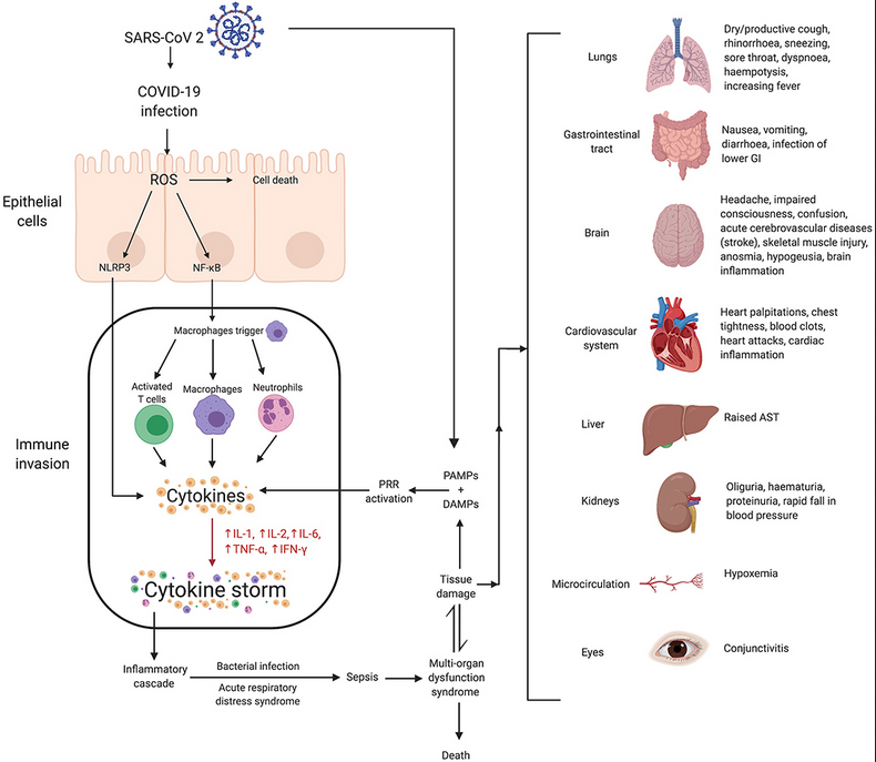 Studying Medicine on Twitter "Viral / COVID19 pneumonia s/s fever