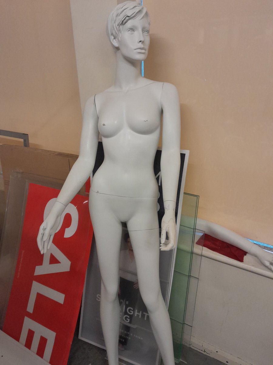 arthur_goode's tweet photo. She doesn't look to thrilled but everyone at the shop is getting very excited as we near our target. Our volunteers have been busy as well! Thank you to all who have contributed and if you haven't yet but would like to click here https://t.co/5PpUNID0q1 https://t.co/0c4mBBuXX2