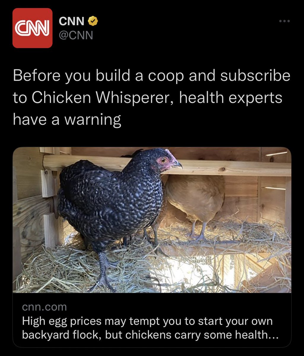 Dave Rubin tweet media