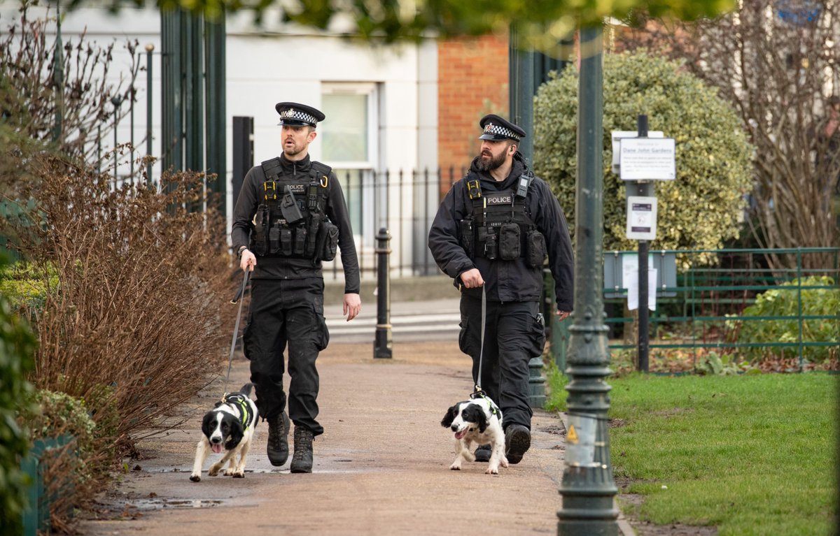 Next Monday 23rd January sees the start of Neighbourhood Policing Week 2023. Our Dogs and Handlers will be out as usual across all areas in Kent. If you see them make sure you say hello - but give the Dogs some room as remember they are still working #NeighbourhoodPolicing #Dogs