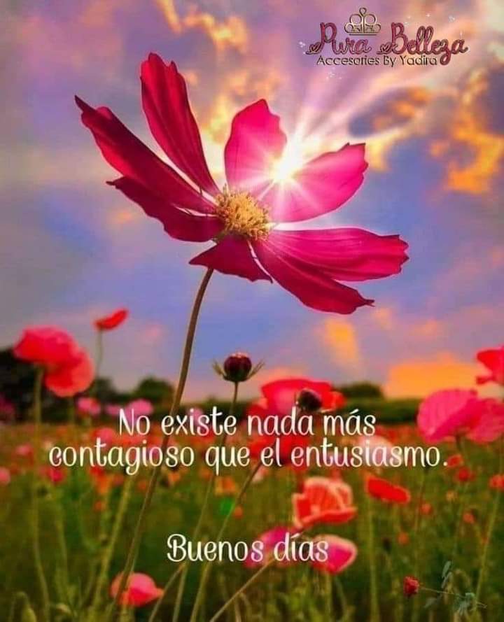 TEAMCHALLENGE 

Good mornig ☕ 🌹

♦️@mary_veas1
 ❁@MARTHA_CAN2 
〡♦️@Mariano03876298
〡〡✾@CarloSportfan
〡〡〡♦️@monicampon
〡〡❁@GabrielZoboli1 
〡♦️@fernandomzoboli 
〡✾
〡〡♦️@mas07angel 
〡〡〡❁@ElderAcost 
〡〡♦️@ViBu_Marina 
〡✾@JesusQuezada826
♦️