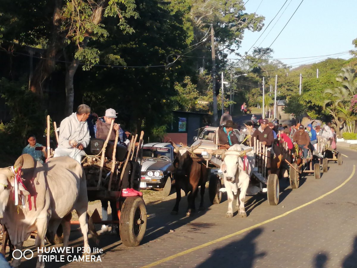 DiriambaD2's tweet photo. #Nicaragua
#Patronales // Entrada de las tradicionales carretas que año con año pagan favores recibidos de parte de imagen de nuestro Santo Patrono San Sebastián Mártir. https://t.co/YeOPnx6VbA
