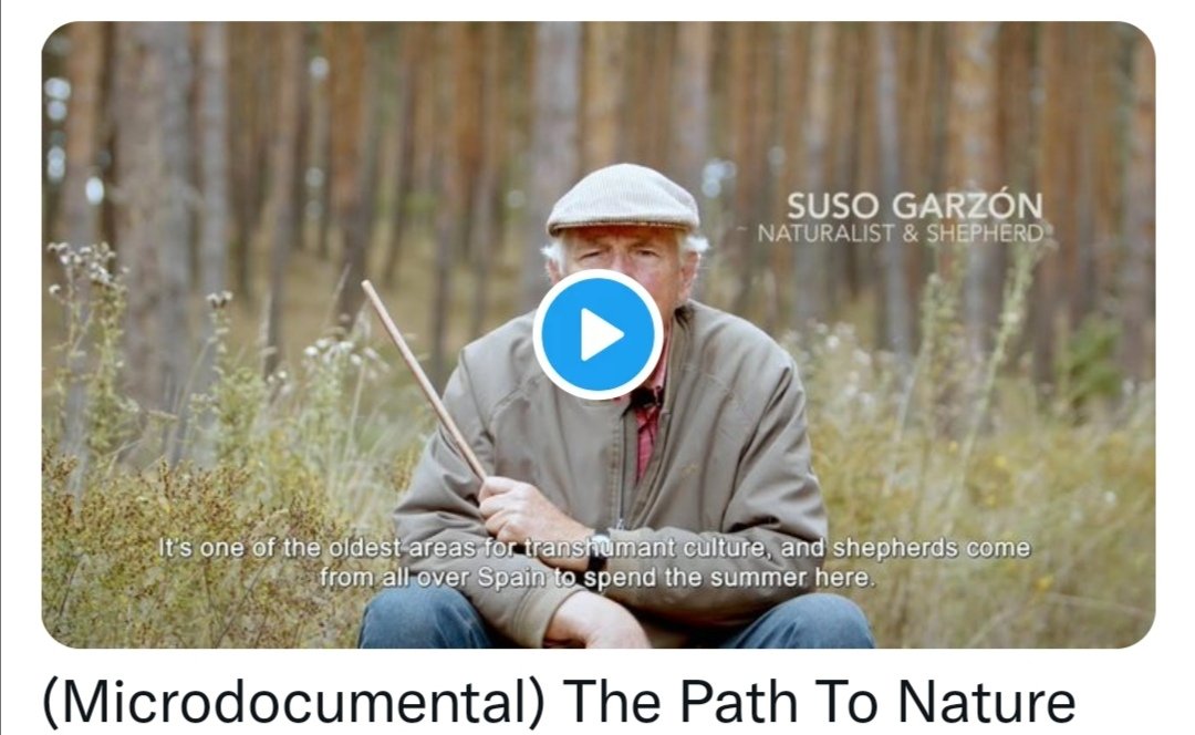 Enhorabuena por el magnífico trabajo de #SusoGarzon y su asociación <a href="/TrashumanciayN/">TrashumanciayN</a> en defensa de la ganadería trashumante y las #víaspecuarias. Historia viva de una batalla épica sobre conservacion por la #biodiversidad y la #transiciónecológica. 
youtu.be/o1YcJiubsDI