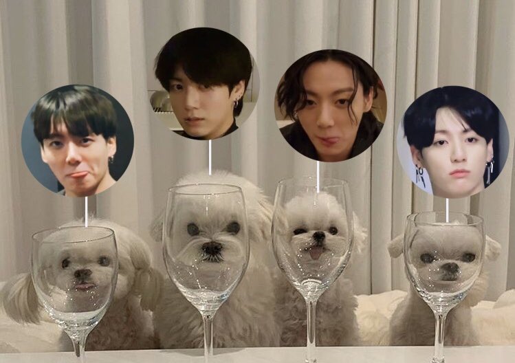 น้องจองกุกจะเหมือนมอลทีสขนาดนี้ไม่ได้ไหม😂😂😂 เเล้วเหมือนหมดเลยอ่ะ