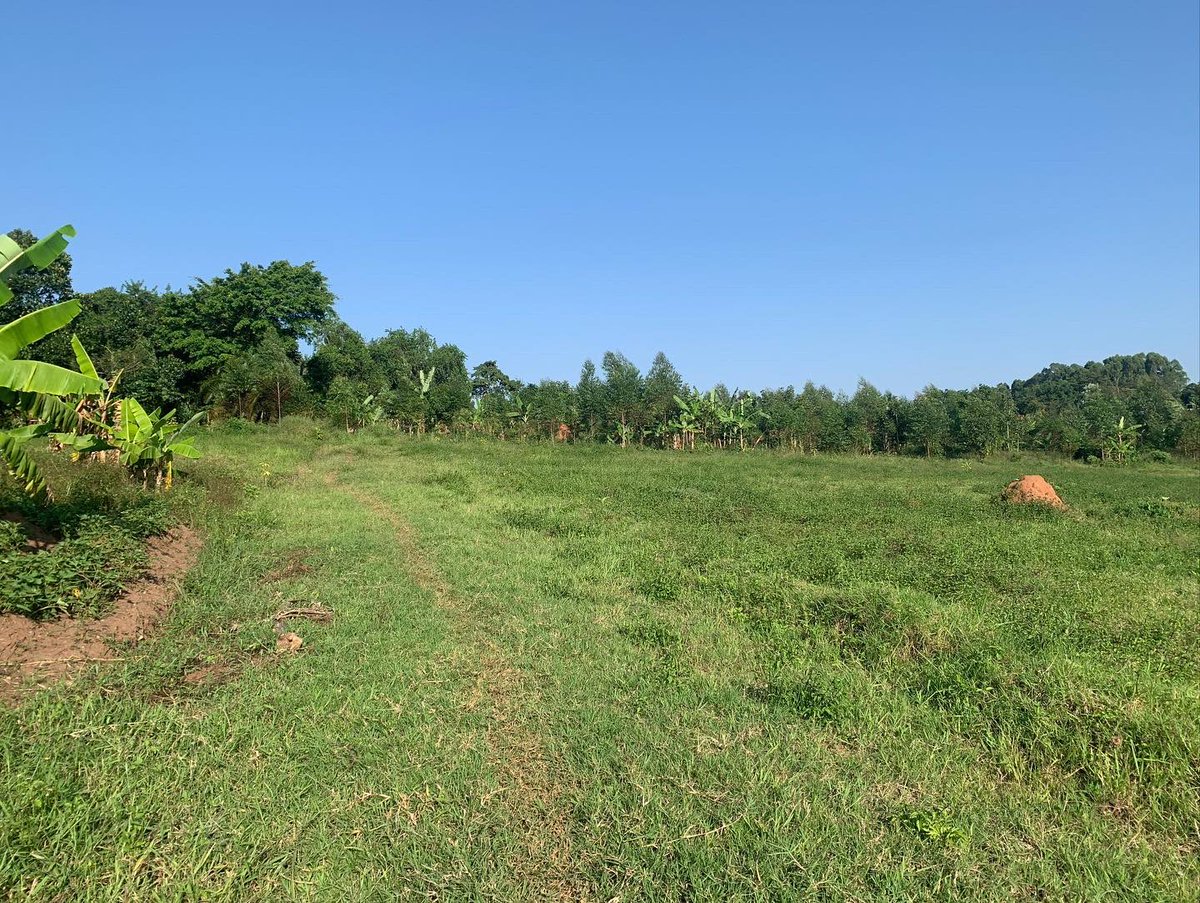 Houses & Land Uganda 🇺🇬 on Twitter "RT HouseLandUgand1 Estate Plots