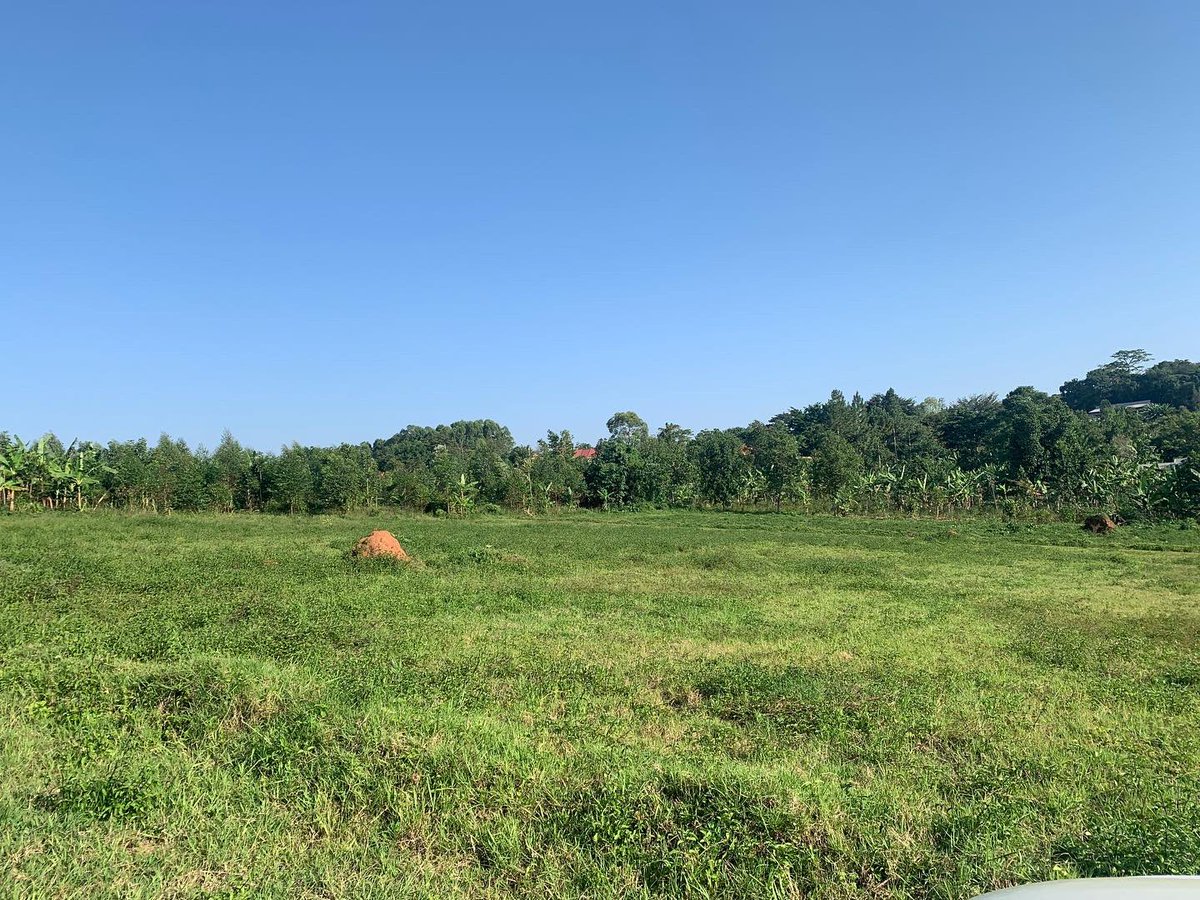 Houses & Land Uganda 🇺🇬 on Twitter "RT HouseLandUgand1 Estate Plots
