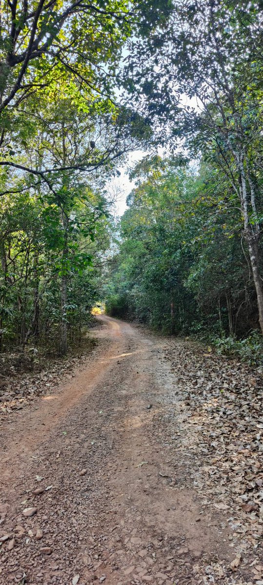 #Worklife takes me down the path less traveled always.
#lovemyjob #lovemywork #Karnataka #worktravel #work #travelkarnataka