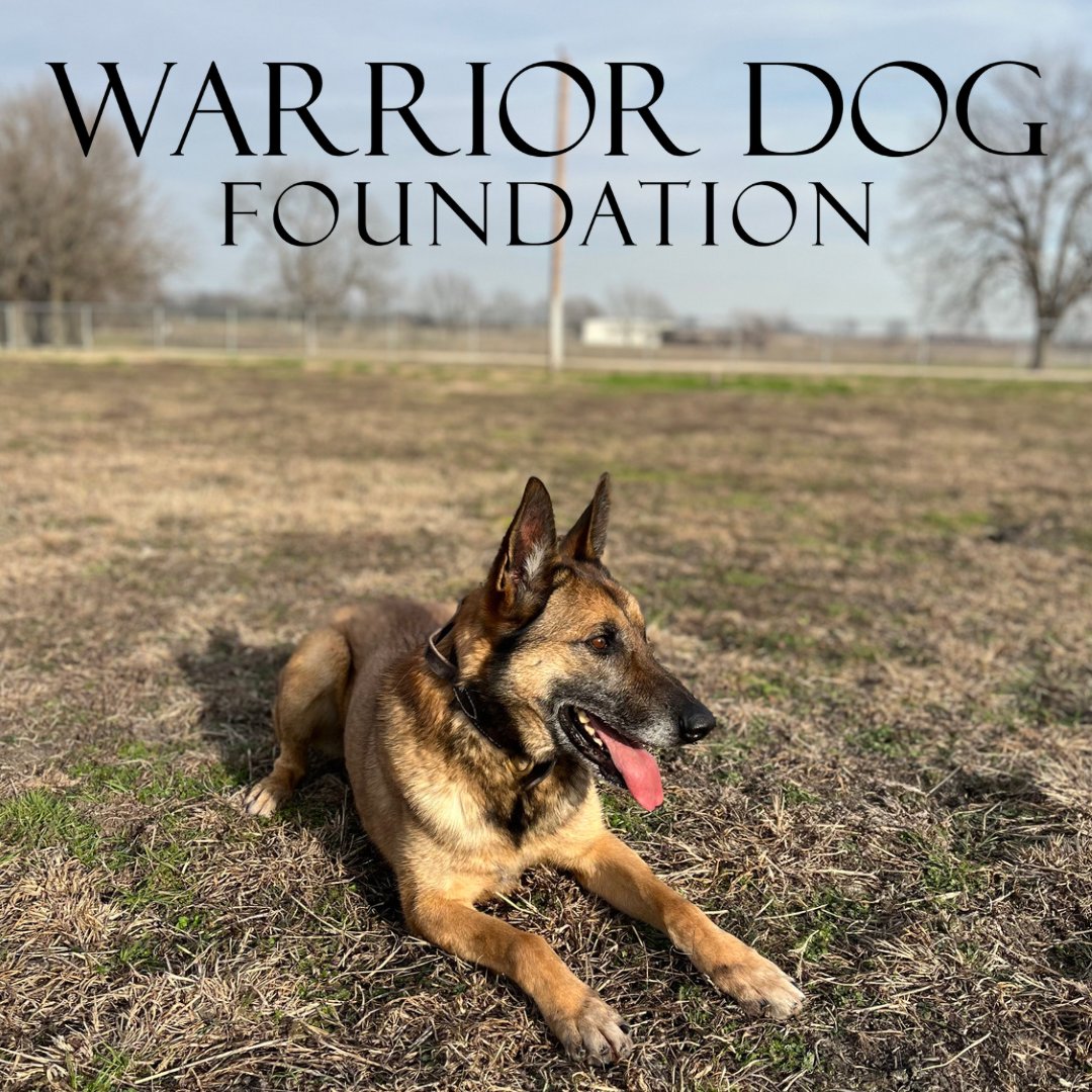 Retired USMC Working Dog Steven enjoying his retirement on a perfect Texas Morning!

#dogrescue #animalrescue #501c3 #caninerehab #workingdog #militaryworkingdog #policek9 #marine #marines #usmc #marinek9handler