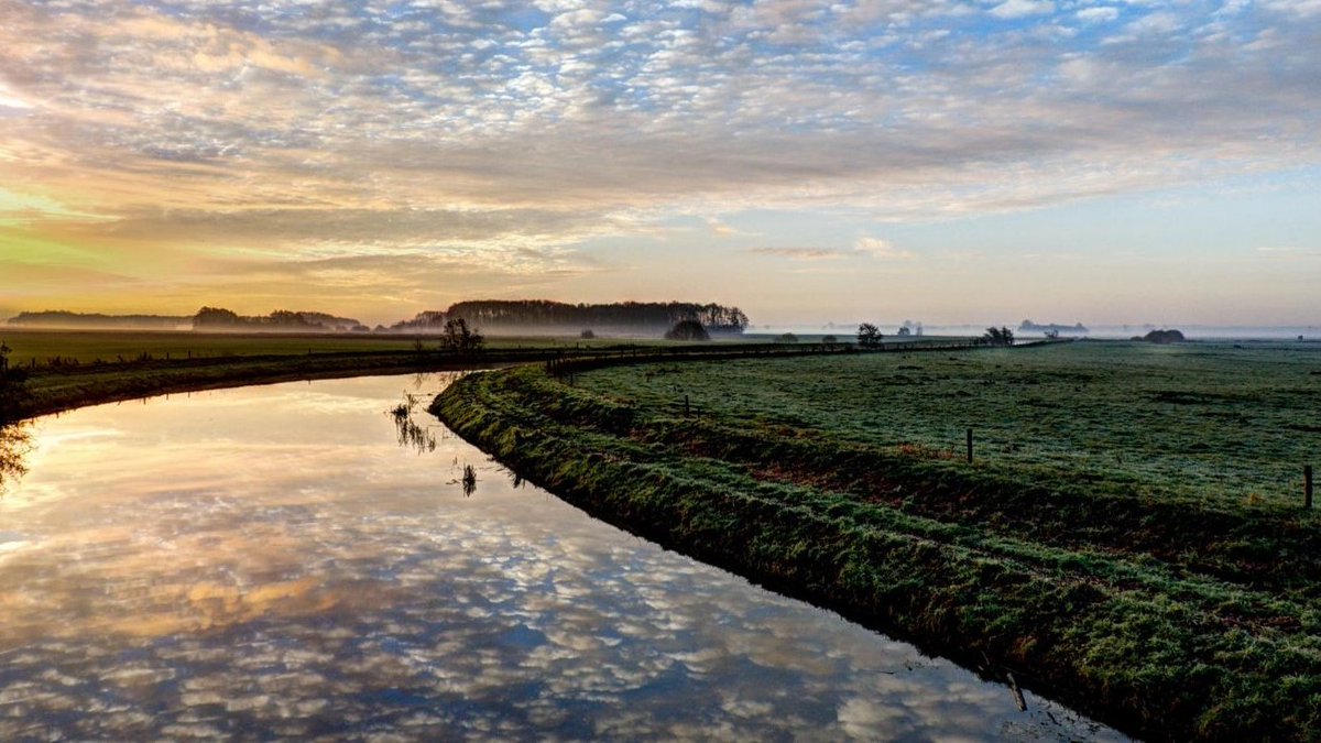 Tried & Tested tweet media