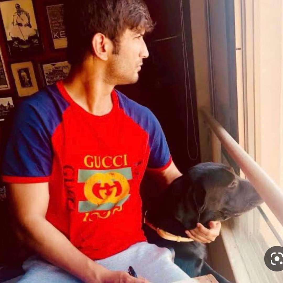 annajohn02's tweet photo. 2 innocent priy 💔😓🥹 @itsSSR #Fudge  #SushantSinghRajput https://t.co/KofcKEyfUi