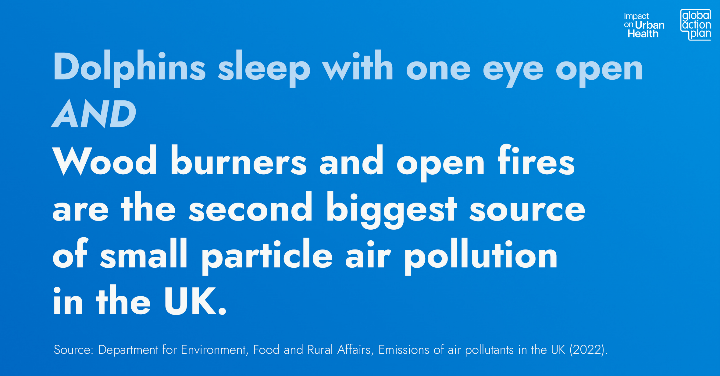 Surprising but true! Dolphins sleep with one eye open🐬
AND #WoodBurners and open fires are the second biggest source of small particle #AirPollution in the UK.
Many people are unaware about the dangers of #WoodBurning

Learn more on the #CleanAirHub cleanairhub.org.uk/clean-air-info…