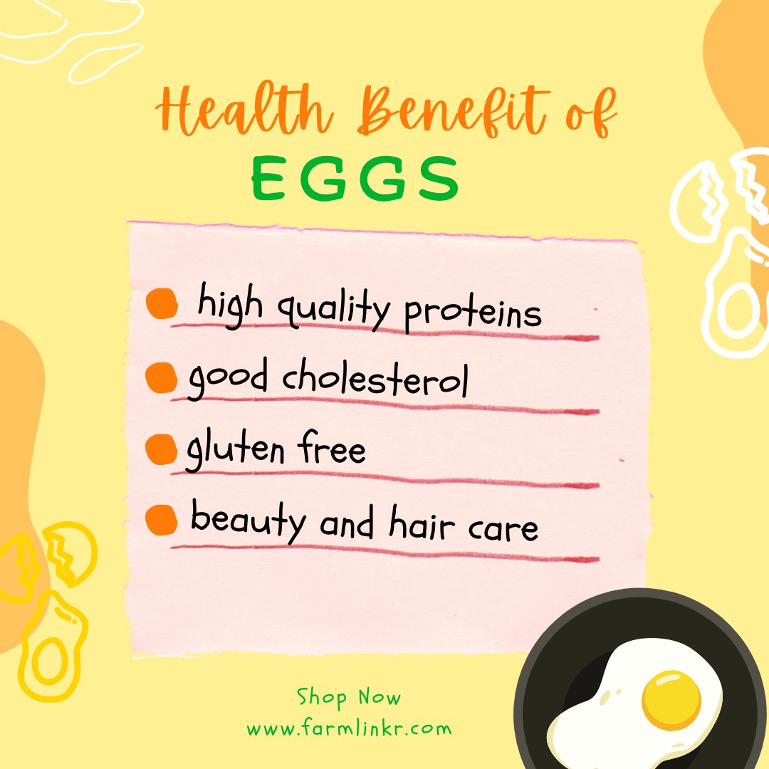 FarmLinkr's tweet photo. For all your egg needs, whether for your home or business..
Farmlinkr has the perfect solution!
.
.
.
Shop at https://t.co/Hq1hQPl8dr for "egg-cellent" quality at reasonable prices.
.
.
.
$780 JMD is for 12 eggs. Other prices are quoted on https://t.co/uZo3pYrZYb

#FarmLinkr https://t.co/tBAdpG2y2l