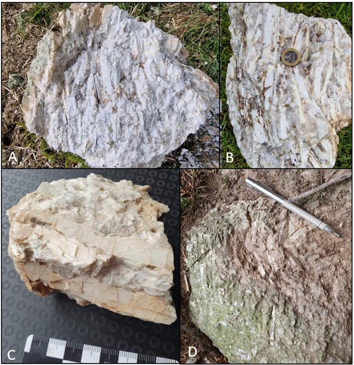 GBML_Official's tweet photo. $GBML | $REZZF Global Battery returns high grade Lithium assays - surface samples up to 3.75% Li2O from NW Leinster Lithium Project -> https://t.co/DMR69TBypK
 #lithium https://t.co/XPctSQfcyn