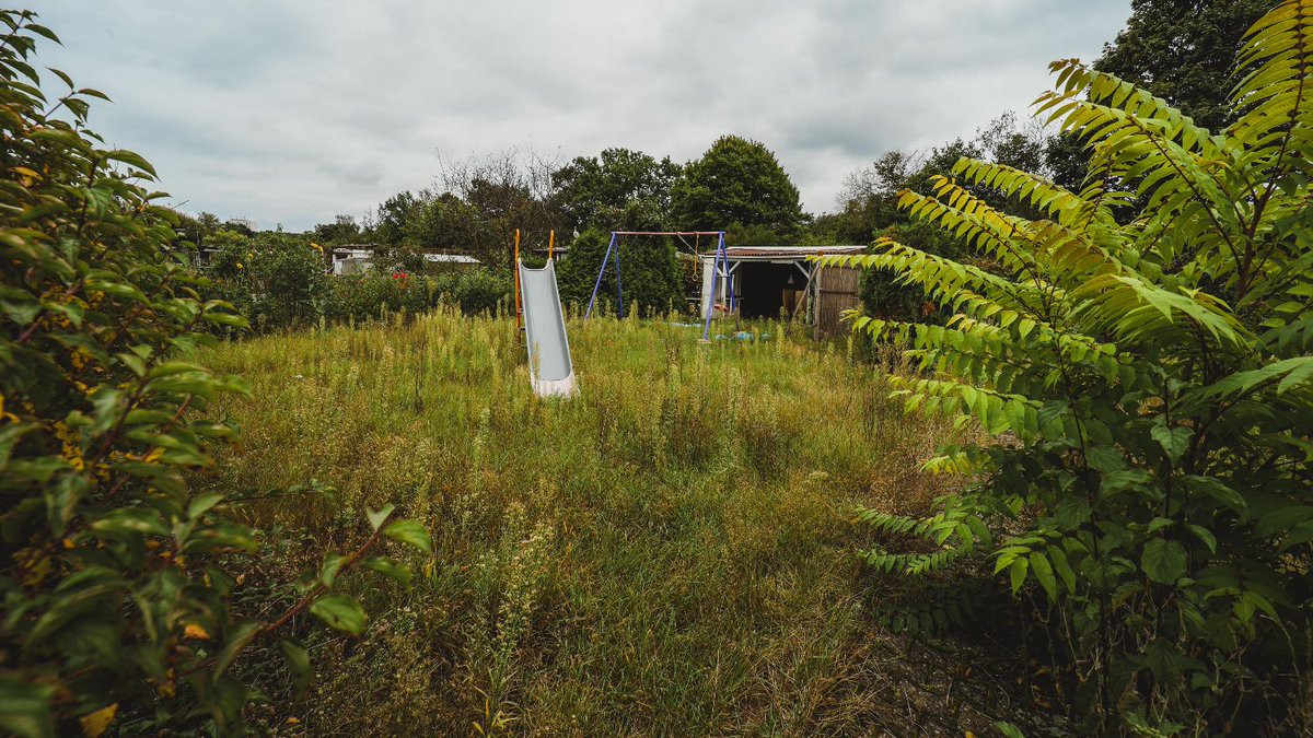 2023: Time to Give Your Website a Fresh Update with David Attenborough - mailchi.mp/cc2a6f519ab4/d…