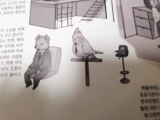 케모나로서 아주 군침이 도는 설정집이다 