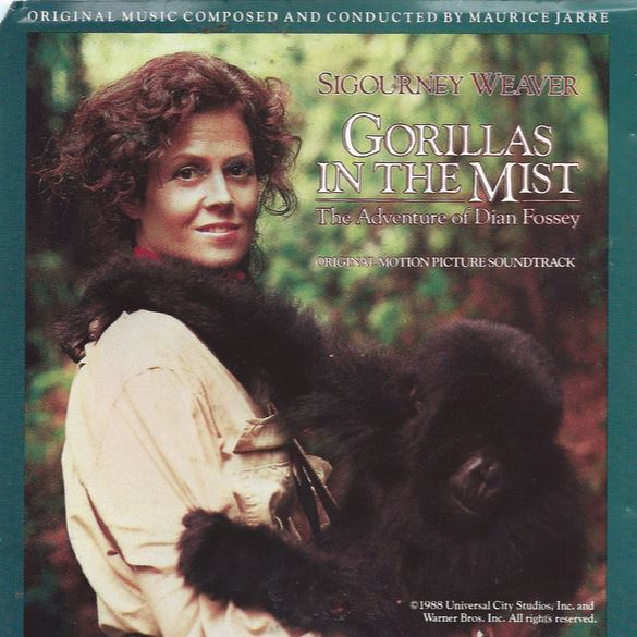 janlucker's tweet image. 1988 Soundtrack - Gorillas In The Mist
#AlexAcuna #EmilRichards #MauriceJarre #MichaelBoddicker #MikeFisher #sessiondays

bit.ly/3GQUutT