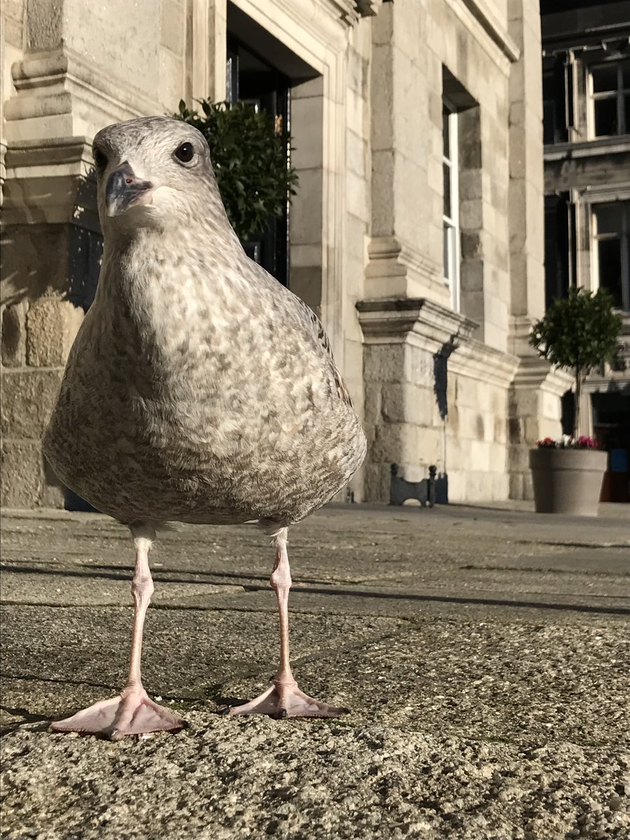 Mike McKillen - System Change for Climate tweet media