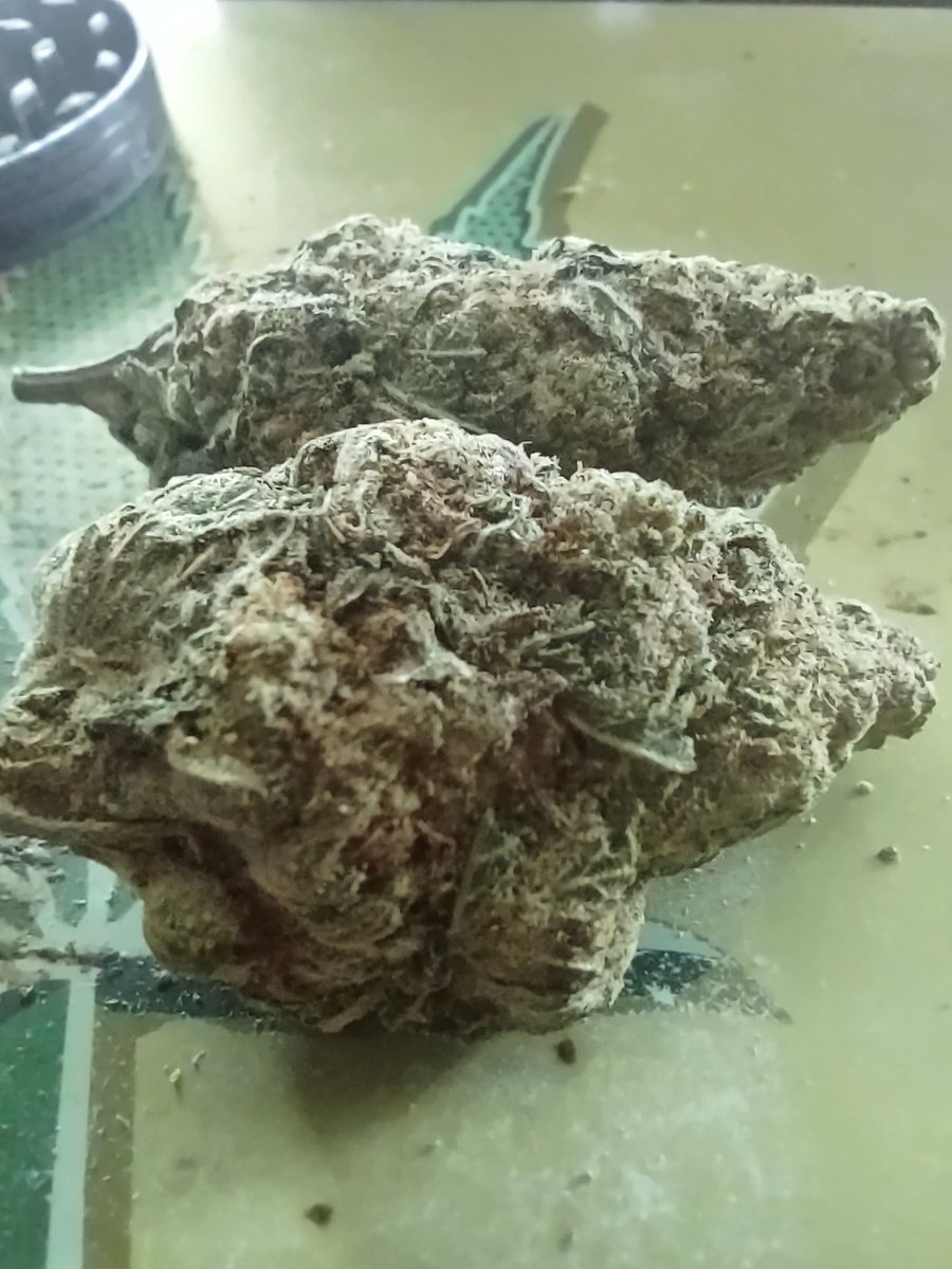 jayceew62197's tweet image. Miracle Alien Cookies. 🔥 🔥 🔥 #GetLifted