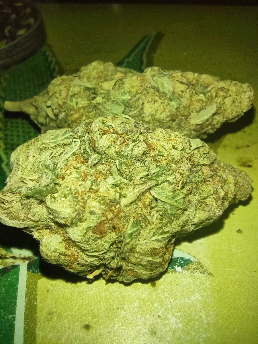 jayceew62197's tweet image. Miracle Alien Cookies. 🔥 🔥 🔥 #GetLifted
