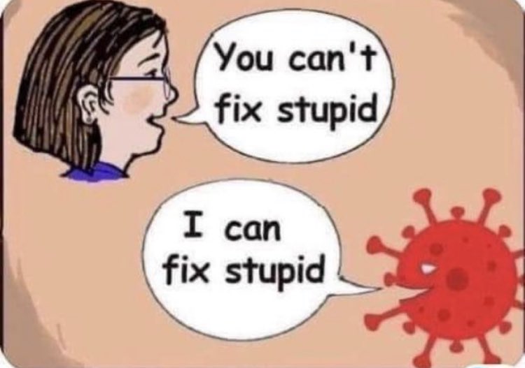 FrankMis tweet picture