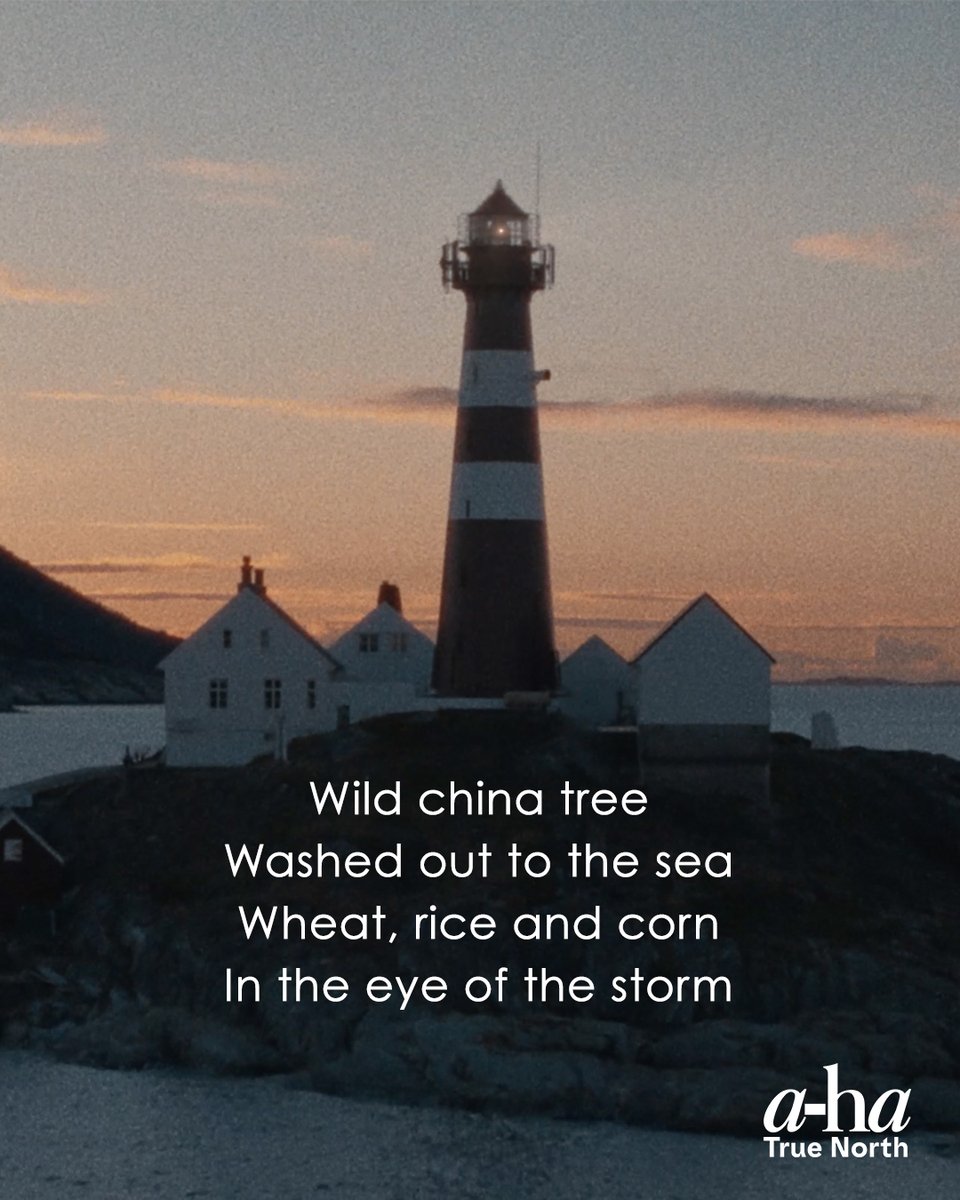 Wild China tree
Washed out to the sea
Wheat, rice, and corn
In the eye of the storm

Check out our new music video to 'Between the halo and the horn' on YouTube! youtu.be/thWDCQVtla0

#aha #betweenthehaloandthehorn #musicvideo #outnow #youtube #ahatruenorth