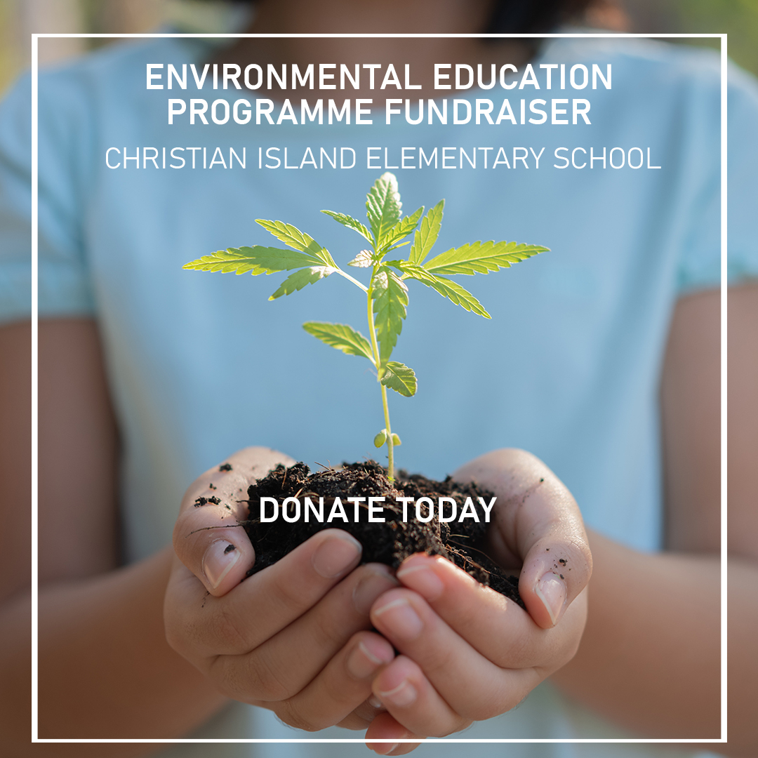 ecoresolve's tweet photo. Please show Gabby your support by donating to the fundraiser at the Gofundme link in our bio! This fundraising campaign will run from January 19th, 2023- January 26th, 2023. Thank you everyone!
Sincerely,
The #Ecoresolve team ππ± https://t.co/xBoOZn1N2d