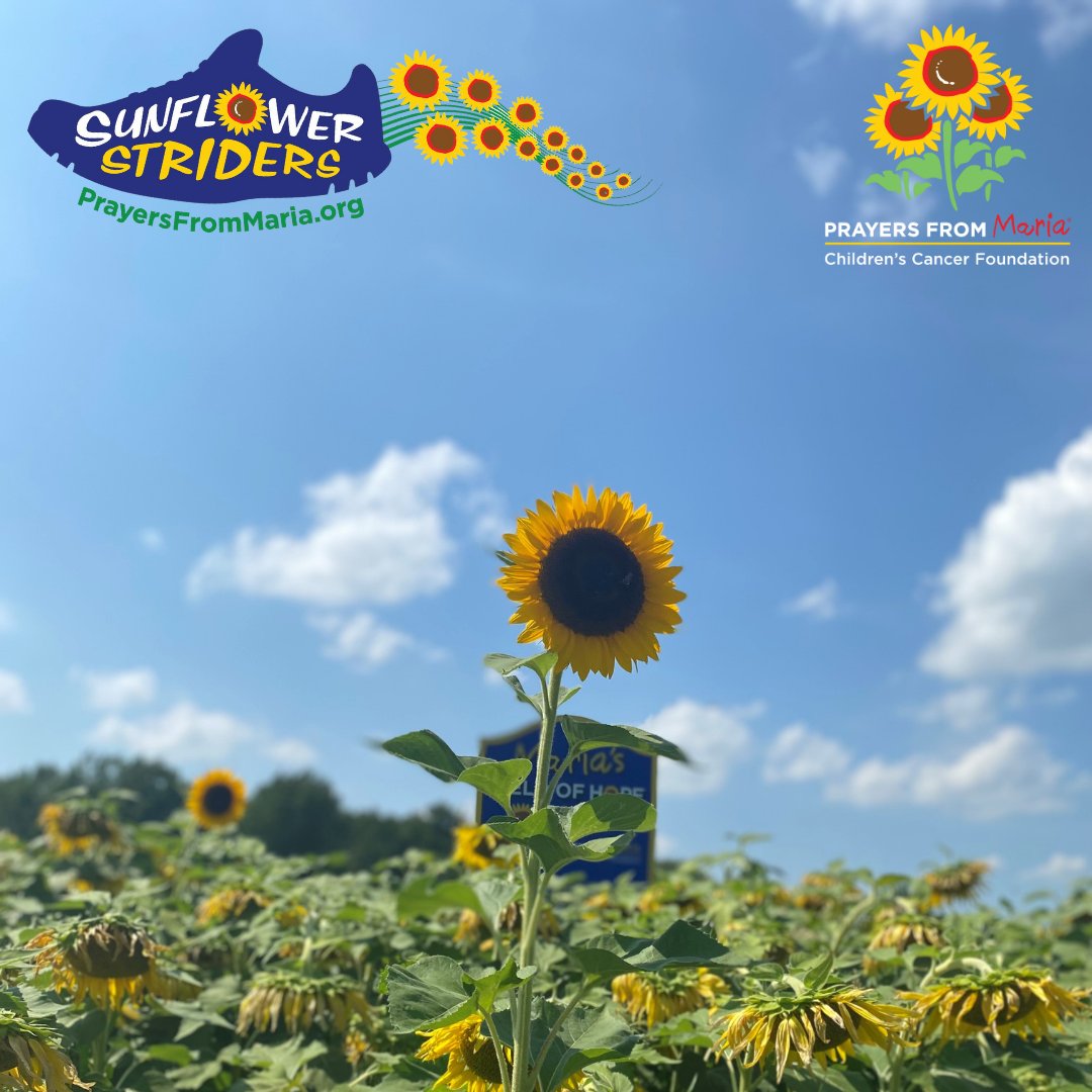 Looking for a way to keep targeting your resolutions? Join the Sunflower Striders running team! We'll be running the Cleveland Marathon this year, May 20th and 21st! You can register for our team now at raceroster.com/events/2023/61… 🌻🌻