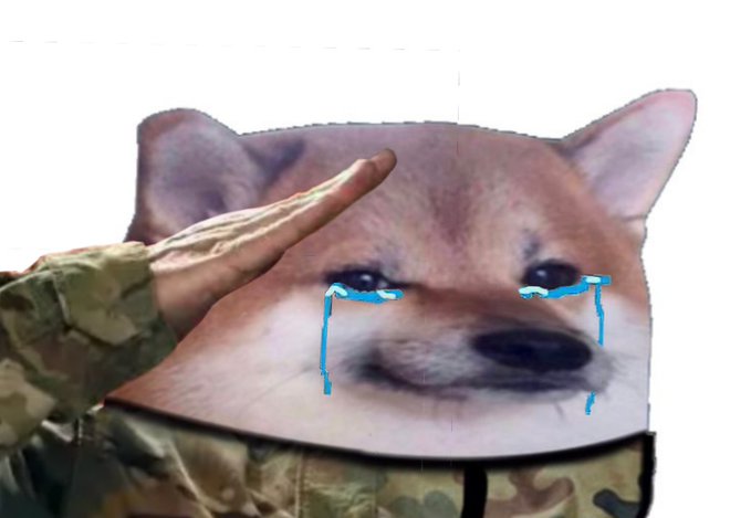 FmwqOzAXgAAbYw4?format=jpg&name=small