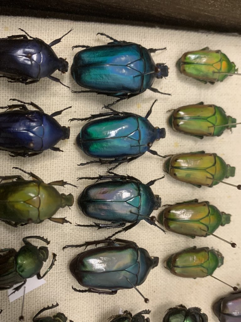 Qi (@qi_hopei) on Twitter photo 