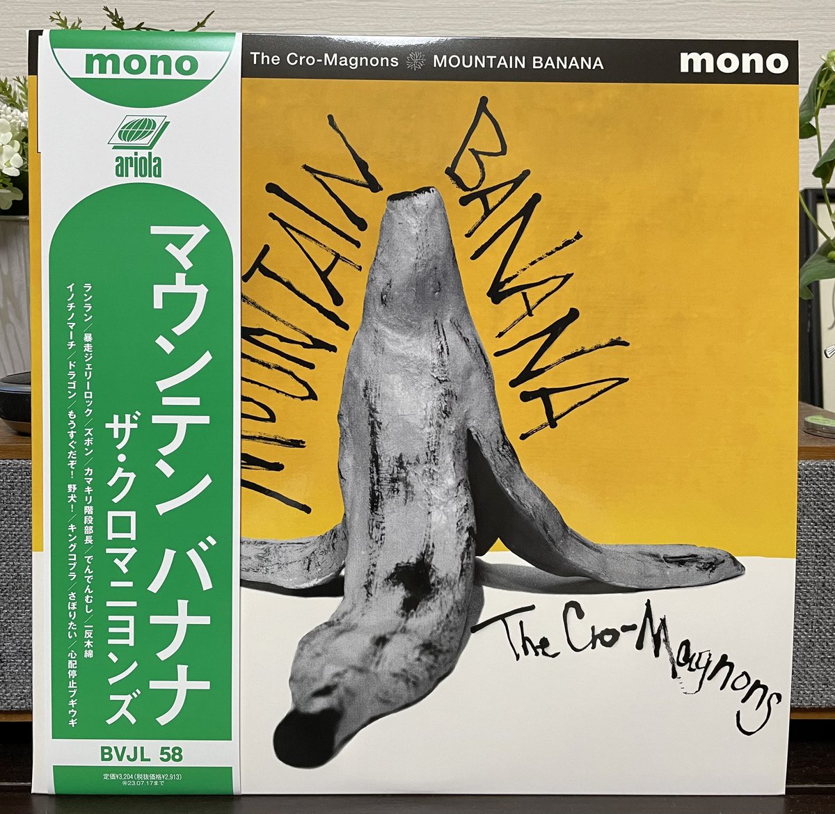 ＭＯＵＮＴＡＩＮ ＢＡＮＡＮＡレコード www.krzysztofbialy.com