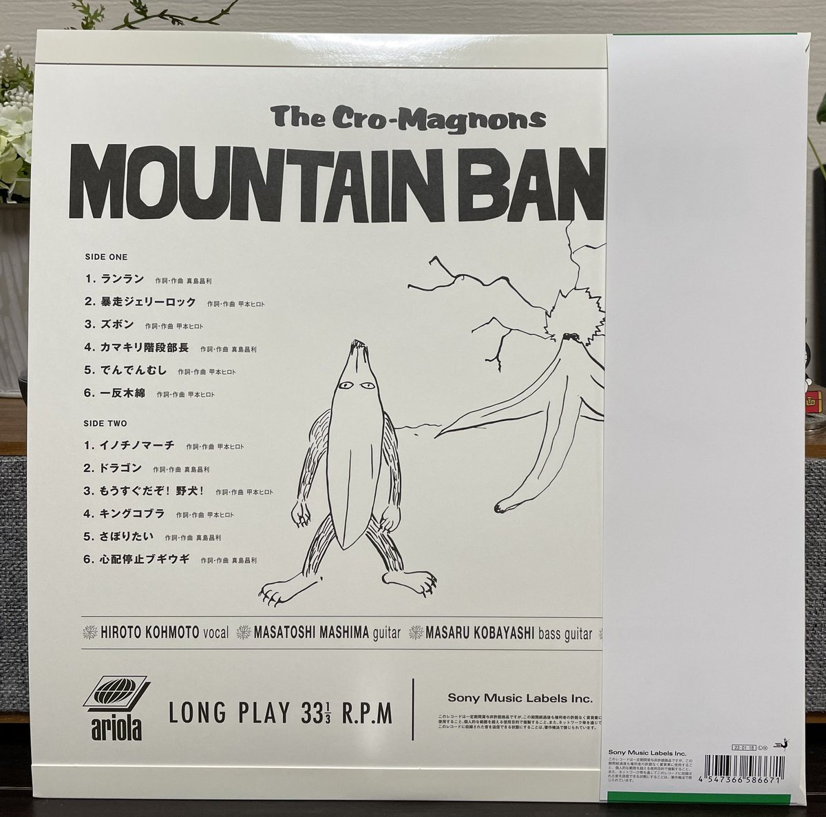 このたびのクロマニヨンズの新譜「マウンテンバナナ」は、アナログ盤を購入いたしましたーいわゆるLPってヤツっすね! 