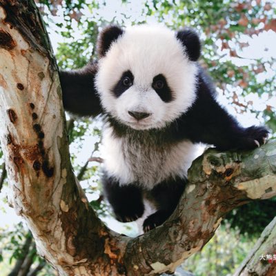 Herbert Liu 🌱 tweet media
