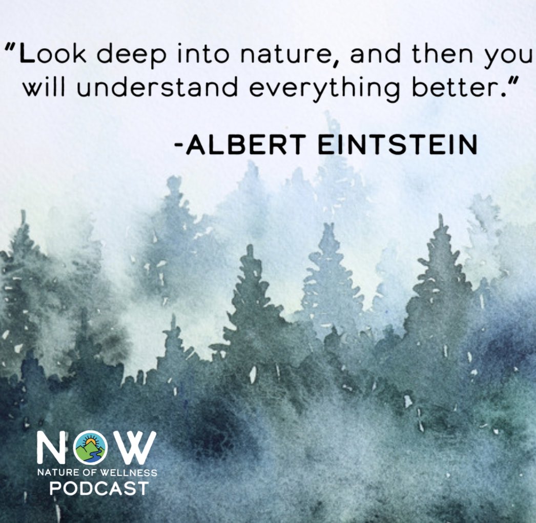 Nature of Wellness tweet media