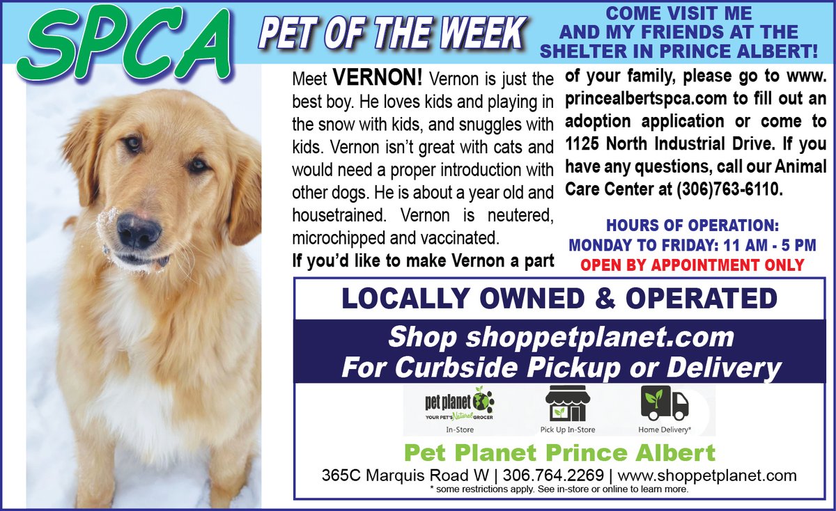 PAShopper's tweet image. SPCA - Pet of the Week
princealbertshopper.com/spca
#SPCA #PetoftheWeek #princealbertshopper