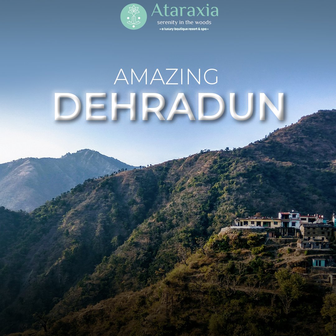 ataraxiadehra's tweet photo. Embark on the paradisiacal beauty and blissful serenity of Dehradun and surrender yourself to the soothing winter breezes and soft chirping of birds.

For More Information ⤵️
📞Contact us: +91 - 7060288861/07
🌐 https://t.co/cEsBHv3AHr https://t.co/TFTibFIrHe