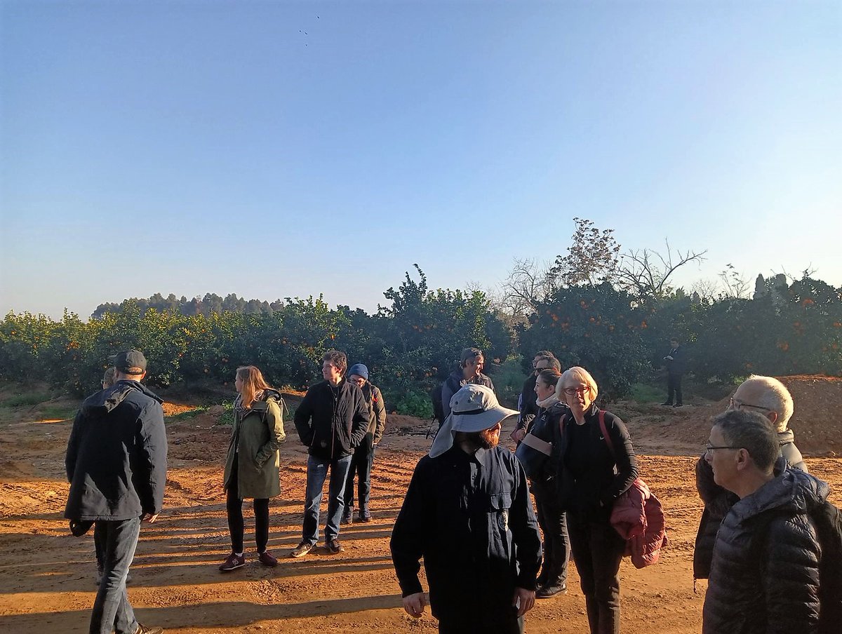 CrackSenseHE's tweet photo. 🚌 CrackSense field trips across Israel have begun!
🍊The consortium visited Mehadrin, one of the leading global growers of citrus, where some of the pilots and experiments will take place. 
💡Looking forward to the first steps towards a crack-free harvest!

 #HorizonEurope https://t.co/hbhqXQq9pD