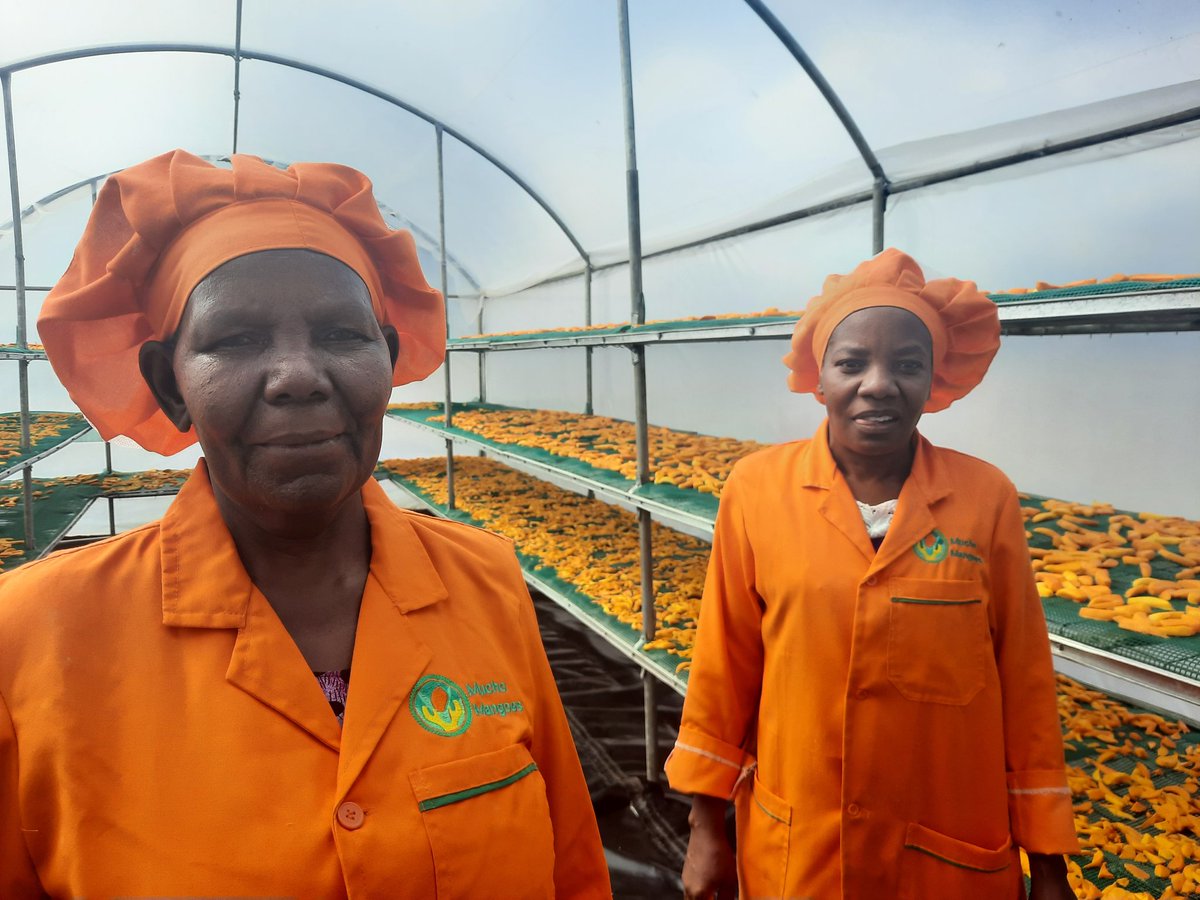 Mangoes look good on us!