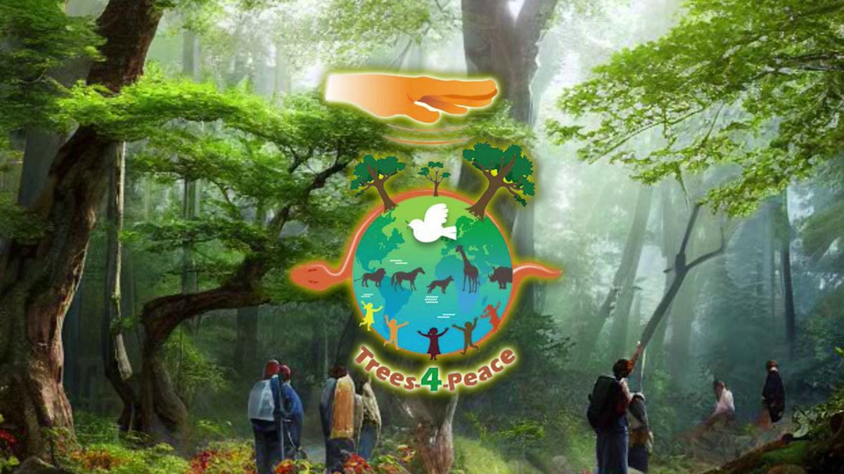 NeljorSa's tweet photo. Trees-4-Peace
#Trees4Peace
https://t.co/ya4L0JCXgH https://t.co/OUe3KSrN4s