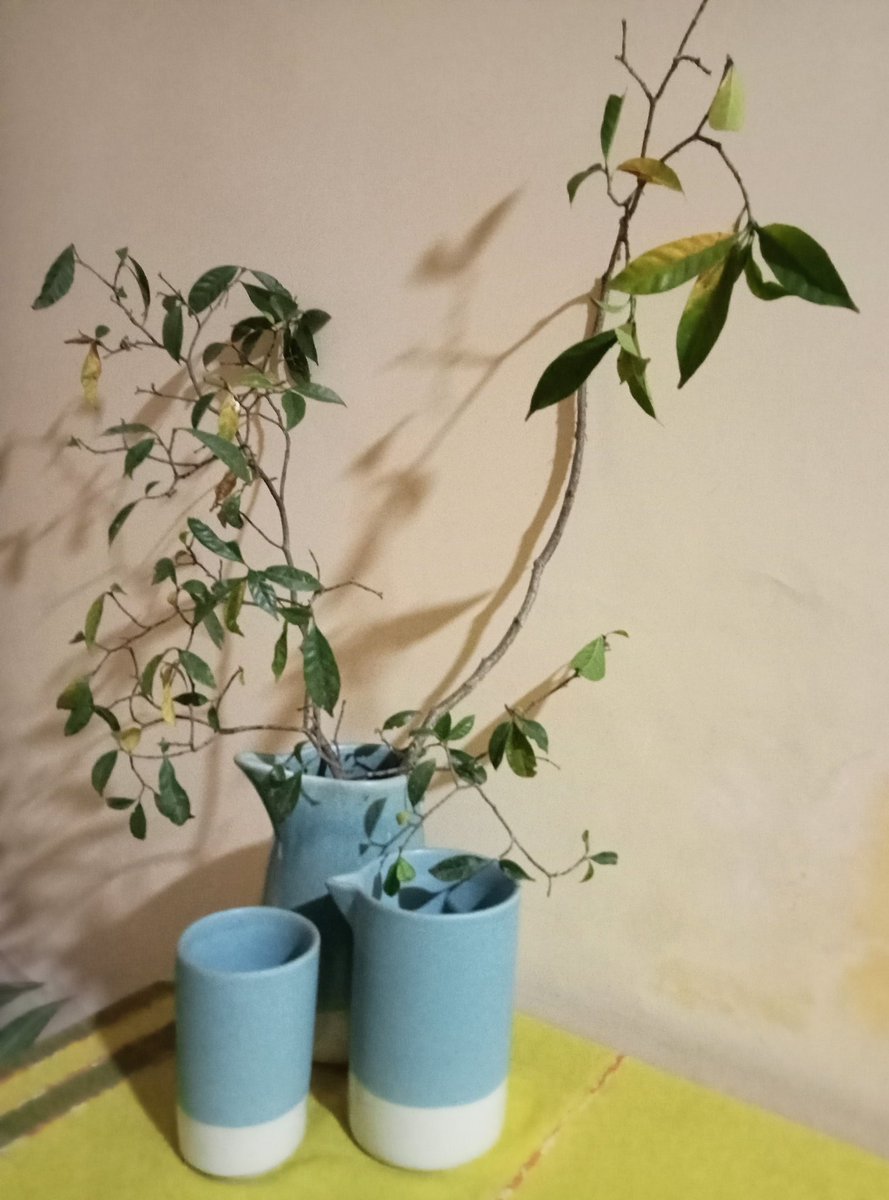 Sumana Roy tweet media