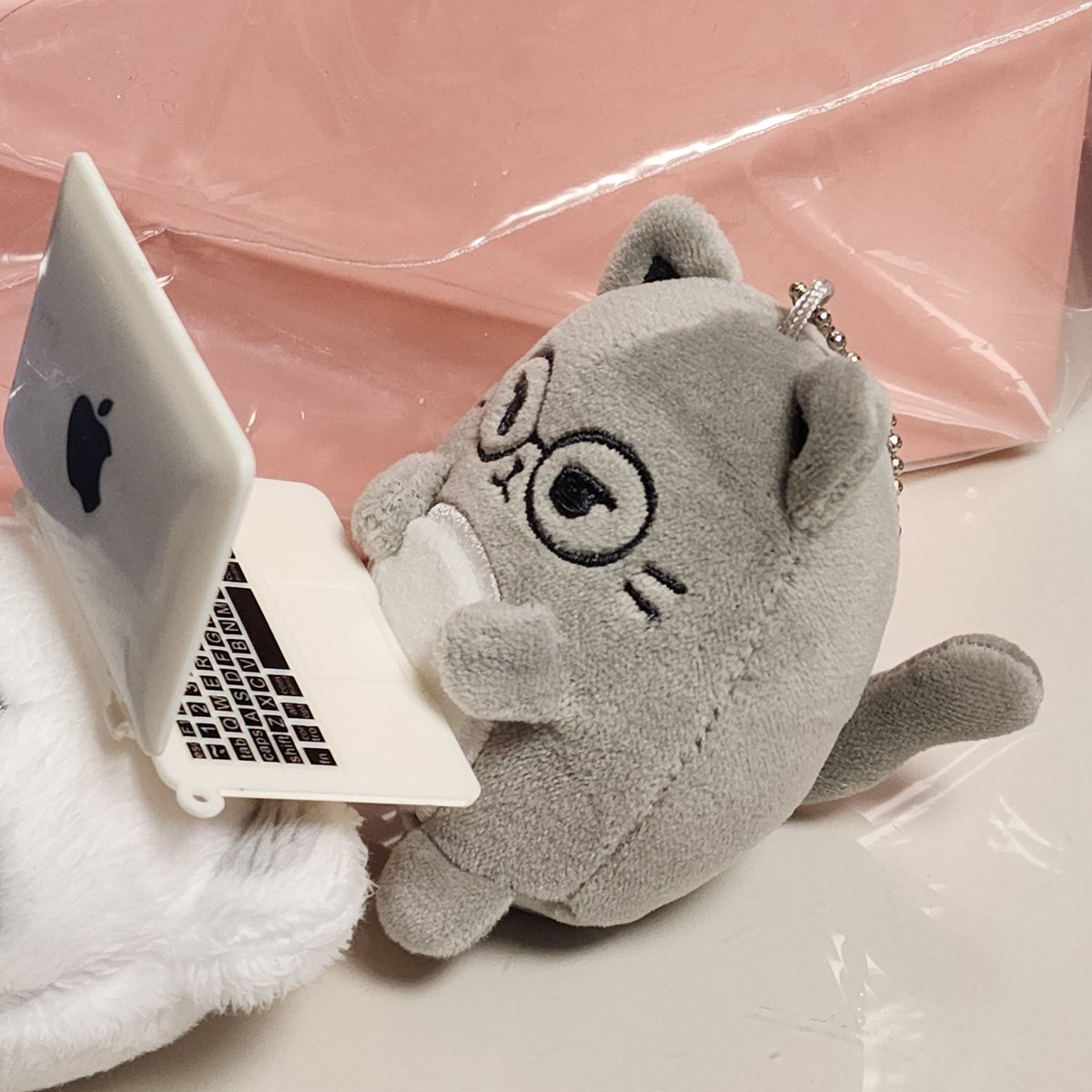 메론빵🍈🐢 tweet media