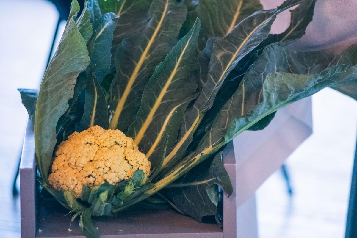 pivettiladige's tweet image. #Trentino, un territorio di appena 500 m, subito a nord delle #spiagge del #Garda, cresce una varietà particolarissima di #broccolo dalle proprietà #antiossidanti spiccate. Lo chiamano "Il figlio del #vento" perché l'aria da nord lo rende speciale. #Domenica la festa a #Torbole.