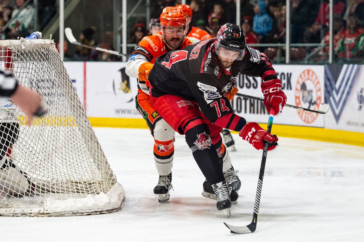 Stefan Fournier tweet media