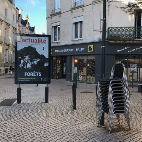 Les panneaux de #Poitiers sont habillés de la #couverture de notre #revue avec le #dessin de Laureline Mattiussi ! Et pour commander le numéro sur les #forêts, c’est par ici : shorturl.at/AKO04 🌳🍃🌱🐿🦡🐜 @UnivPoitiers @NvelleAquitaine