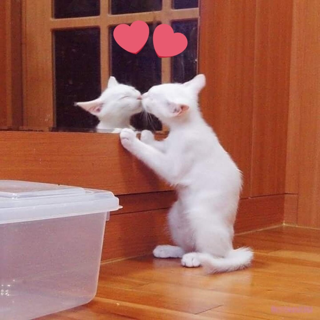 Я сегодня позанималась спортом, прошла курсы и поухаживала за кожей. Горжусь собой 💕