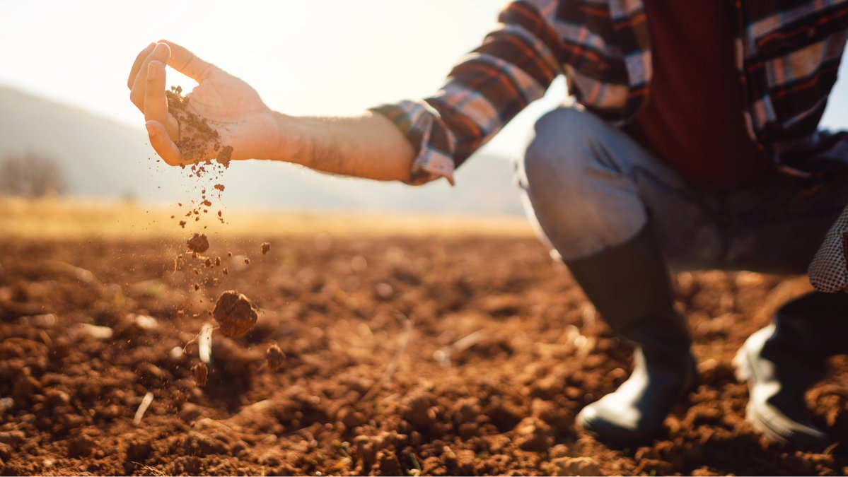 Tried & Tested tweet media