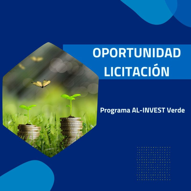 ALINVESTVerde's tweet photo. 📢 ¡Nueva licitación!

Buscamos servicios de asistencia técnica para apoyar a los poderes públicos en la certificación del manejo sostenible de bosques nativos en #Uruguay 🇺🇾

➡️ Toda la información aquí: https://t.co/mJfDvJ9oaY
📅 Hasta el 30 de enero

#BosqueNativo #Componente2 https://t.co/haEjstq0YU