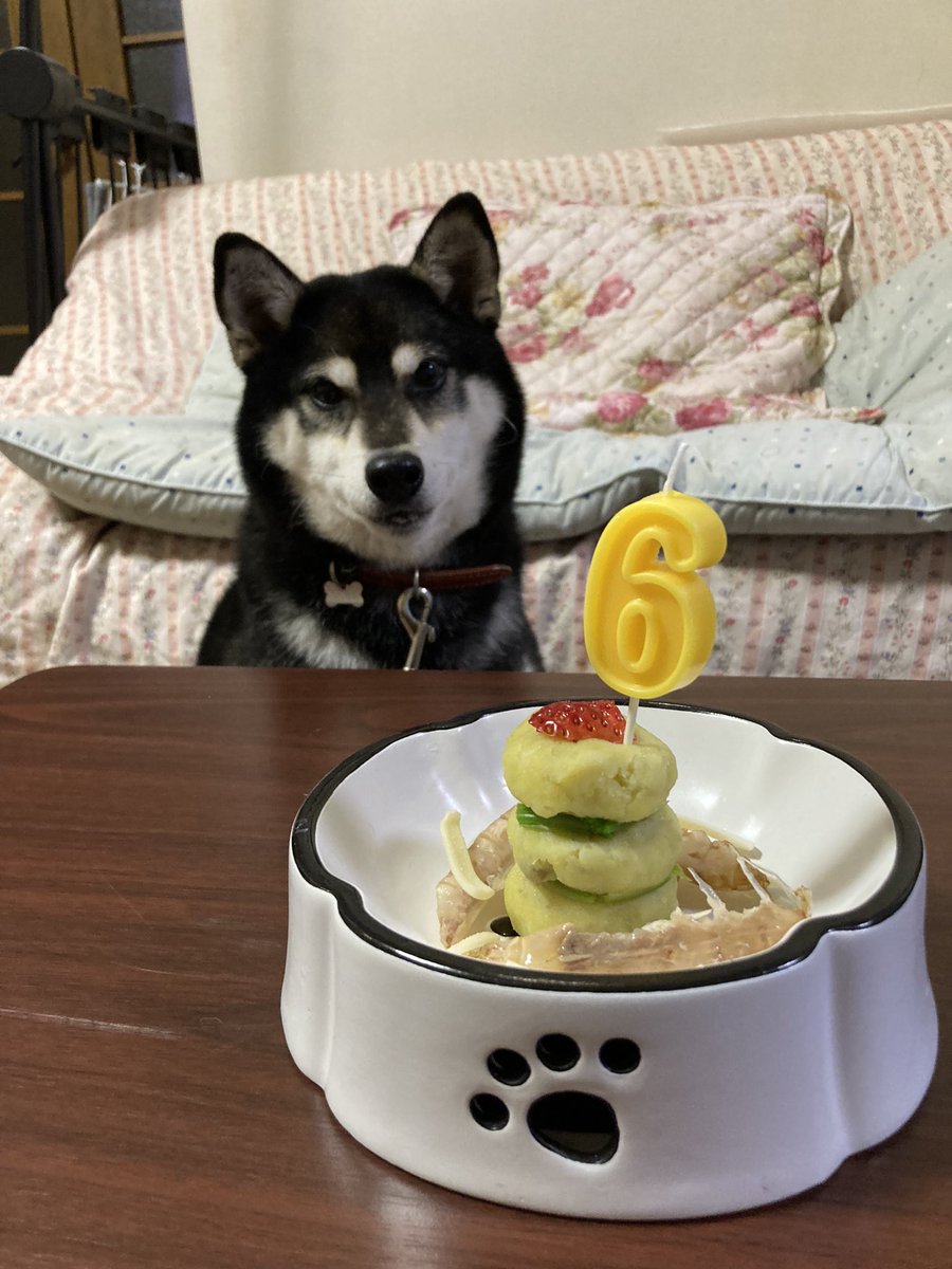 robshinta's tweet photo. 昨日はらん子のバースデーだった😊 https://t.co/jNA7dBFoxs